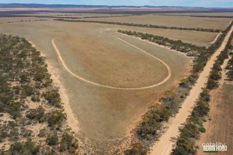 115/264 Philips Rd, Minbrie, SA 5602