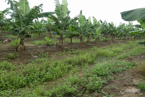 264 Newman Rd, Moresby, QLD 4871