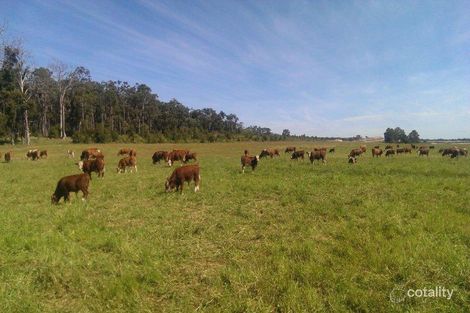 Lot 3287 Lowrie Rd, Boyanup, WA 6237