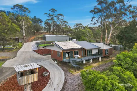 Property photo of 291 Back Tea Tree Road Richmond TAS 7025