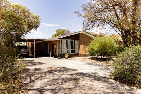 19 Duff St, Merredin, WA 6415