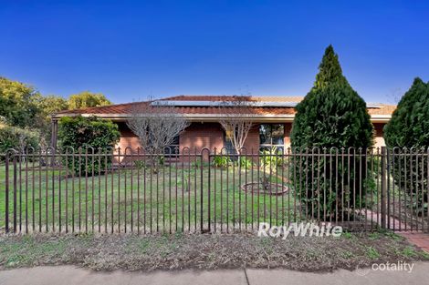 Property photo of 31 Mansell Drive Mildura VIC 3500