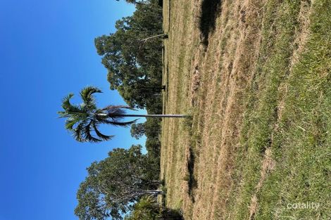 43 Conder Pde, Midge Point, QLD 4799