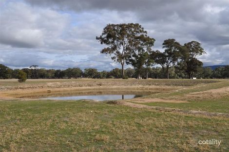 Property photo of 252 Homebush Road Avoca VIC 3467