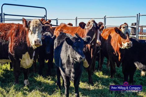 Property photo of 30L Firbank Road Wongarbon NSW 2831