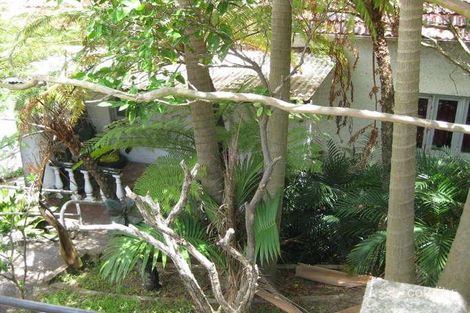 16 Glen Ave, Randwick, NSW 2031