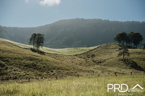 28/46 Lynches Creek Rd, Wiangaree, NSW 2474