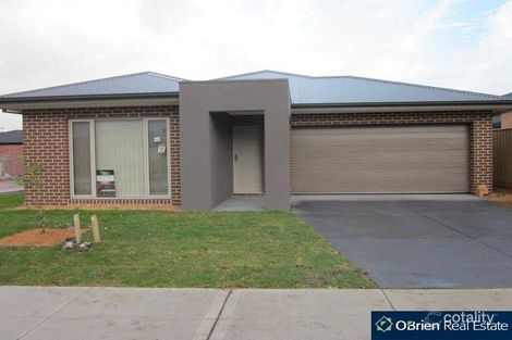 3 Barwon St, Clyde North, VIC 3978