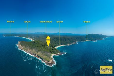 Property photo of 16 Fairley Street Depot Beach NSW 2536