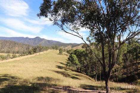 81/7986 Kempsey Rd, Lower Creek, NSW 2440