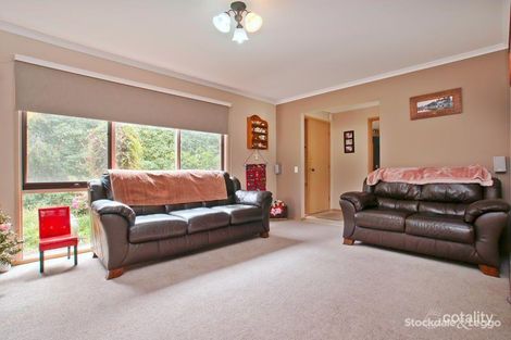 Property photo of 6 Peter Court Langwarrin VIC 3910