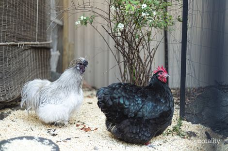 Property photo of 2 McHale Place Gordon ACT 2906