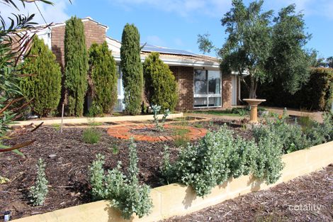 Property photo of 35 Amy Loop Craigie WA 6025