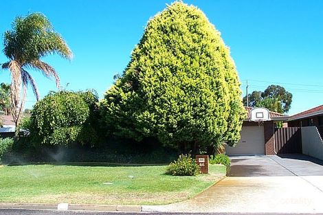 66 Walkington Way, Eden Hill, WA 6054