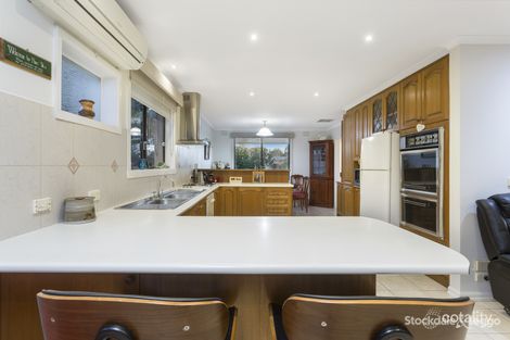 Property photo of 19 Raymond Avenue Langwarrin VIC 3910