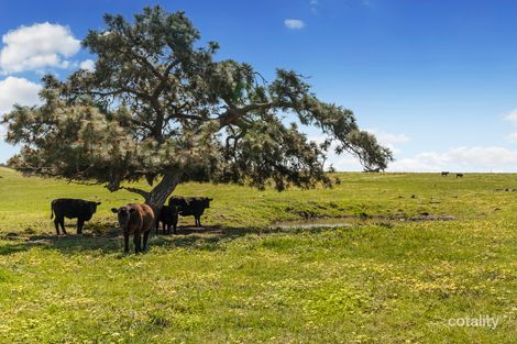 55 Ashes Bridge Rd, Tallarook, VIC 3659