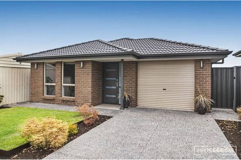 164 Kelly Rd, Modbury Heights, SA 5092