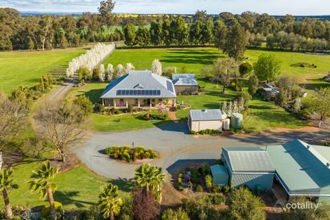 86 Oil Tree Lagoon Rd, Balldale, NSW 2646