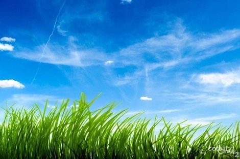 91 Mcneilly Rd, Drouin, VIC 3818