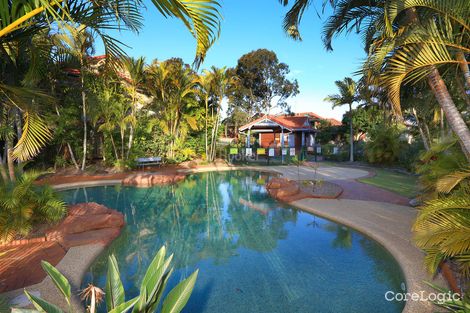 Property photo of 271/125 Hansford Road Coombabah QLD 4216