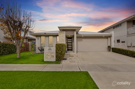 66 Max Purnell St, Forde, ACT 2914