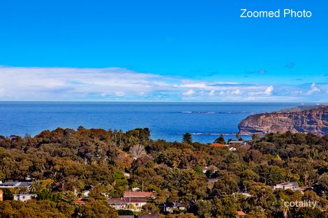 Property photo of 51 Cheryl Crescent Newport NSW 2106