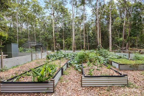Property photo of 49 Kildeys Road Cootharaba QLD 4565