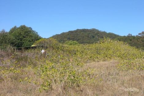 Property photo of 10 Eric Malouf Close Tumbi Umbi NSW 2261