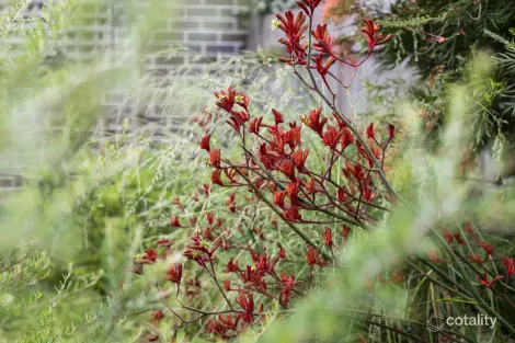 Property photo of 71 Styles Street Leichhardt NSW 2040