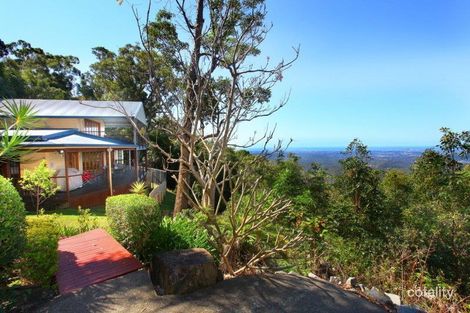 Property photo of 50 Hellfire Pass Lower Beechmont QLD 4211