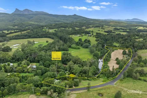 111 Brays Creek Rd, Tyalgum, NSW 2484