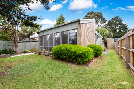 Property photo of 1/241 Canterbury Road Bayswater North VIC 3153