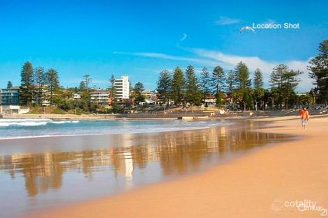 Property photo of 29 Prescott Avenue Dee Why NSW 2099