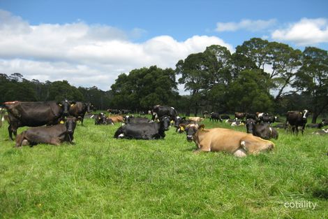 500 Poilinna Rd, Edith Creek, TAS 7330