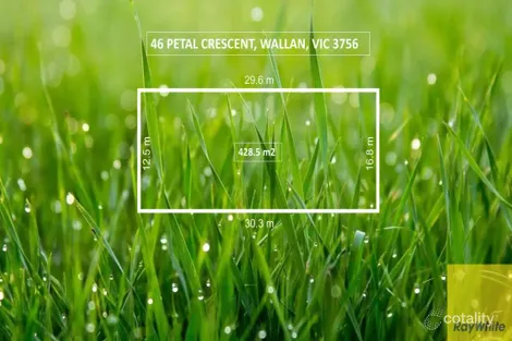 46 Petal Cres, Wallan, VIC 3756