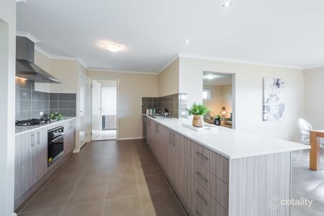 Property photo of 9 Lemongrass Street Chisholm NSW 2322