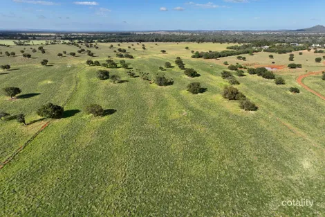 Property photo of 1676 Willala Road Willala NSW 2382