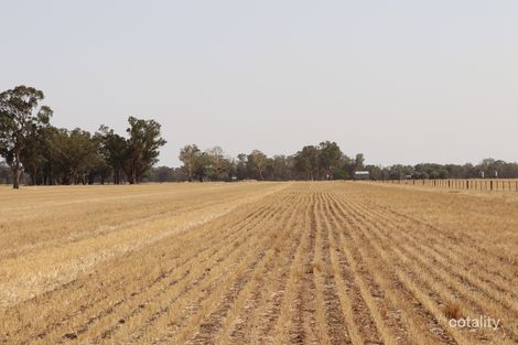 Property photo of 139 Fishers Road Combaning NSW 2666