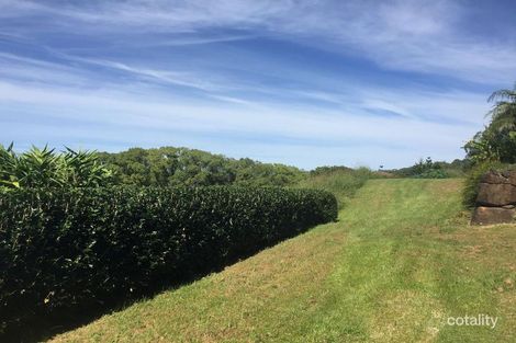 Property photo of 24 Double View Road Farrants Hill NSW 2484