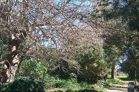 81 Teutoberg Ave, Witta, QLD 4552