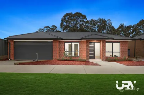 15 Dragonfly Dr, Seymour, VIC 3660