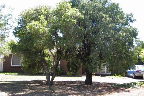 31 Chapman Cres, Redwood Park, SA 5097