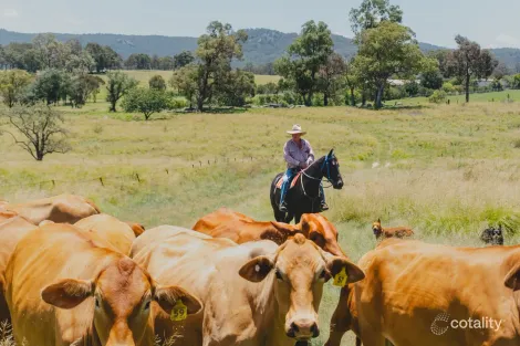 247 Leechs Gully Rd, Tenterfield, NSW 2372