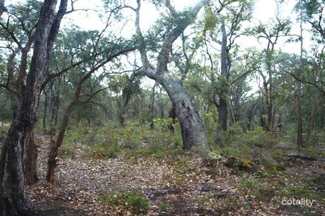 Property photo of 97 Glover Road Yallingup Siding WA 6282
