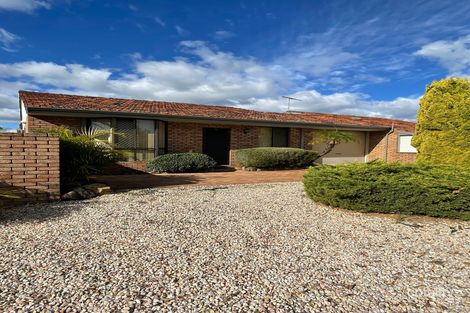 Property photo of 1/7 Batt Court Noranda WA 6062