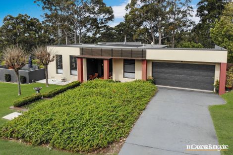 Property photo of 121 Vista Avenue Catalina NSW 2536