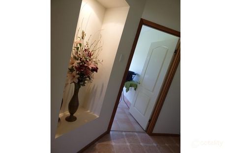 Property photo of 165 Cemetery Road Chinchilla QLD 4413