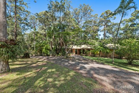 105 Morgans Rd, Sandy Beach, NSW 2456