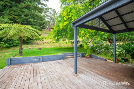 Property photo of 36 Riverside Drive Warburton VIC 3799