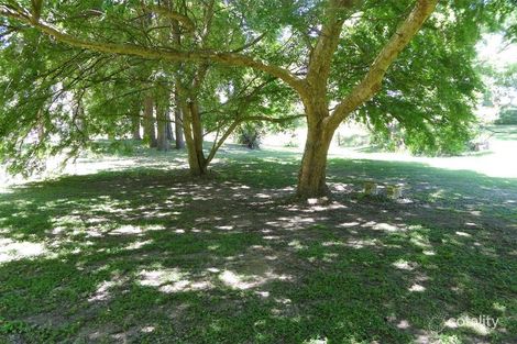 Property photo of 6 Cook Street Gloucester NSW 2422